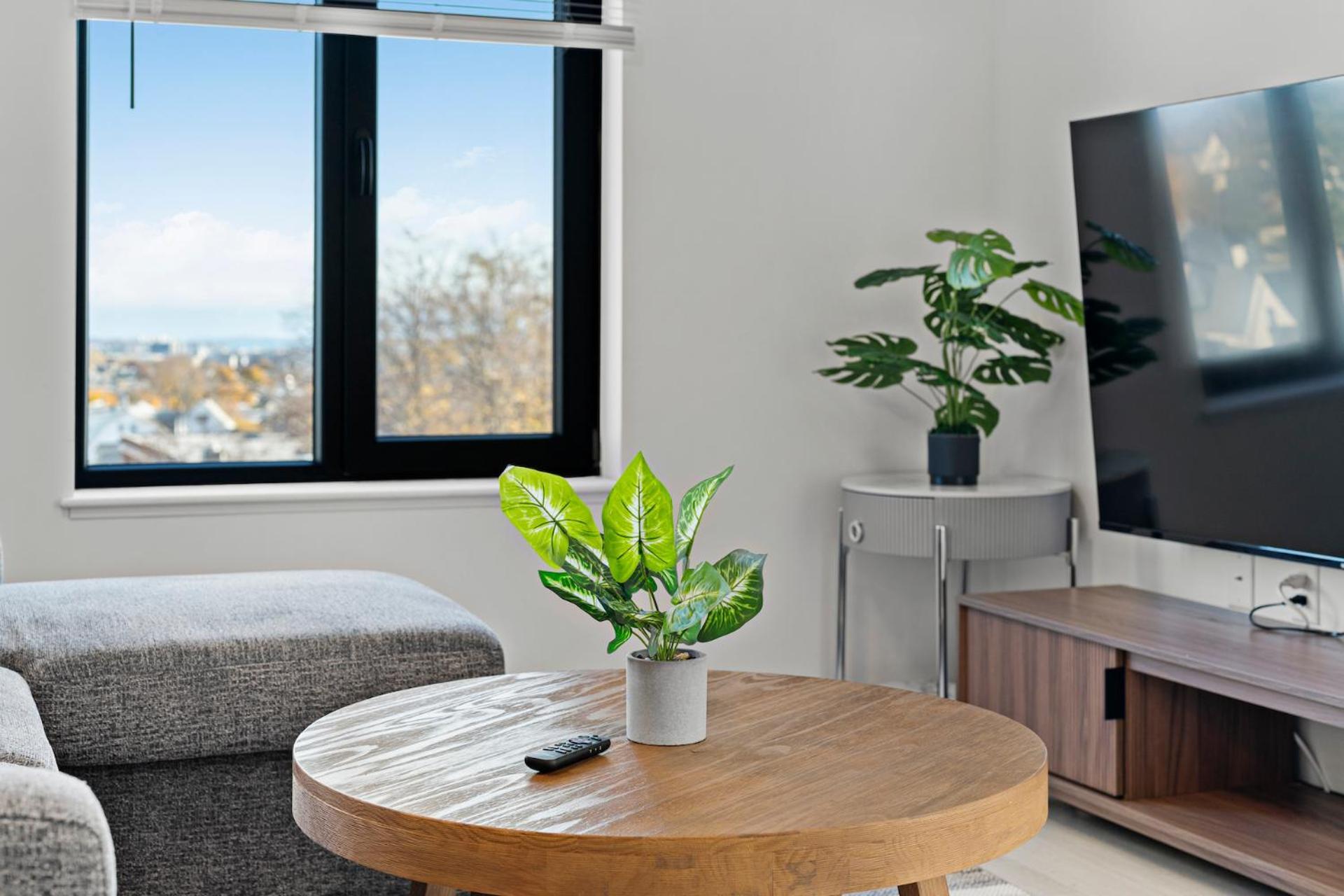 Furnished Luxury Close To Boston Apartment
