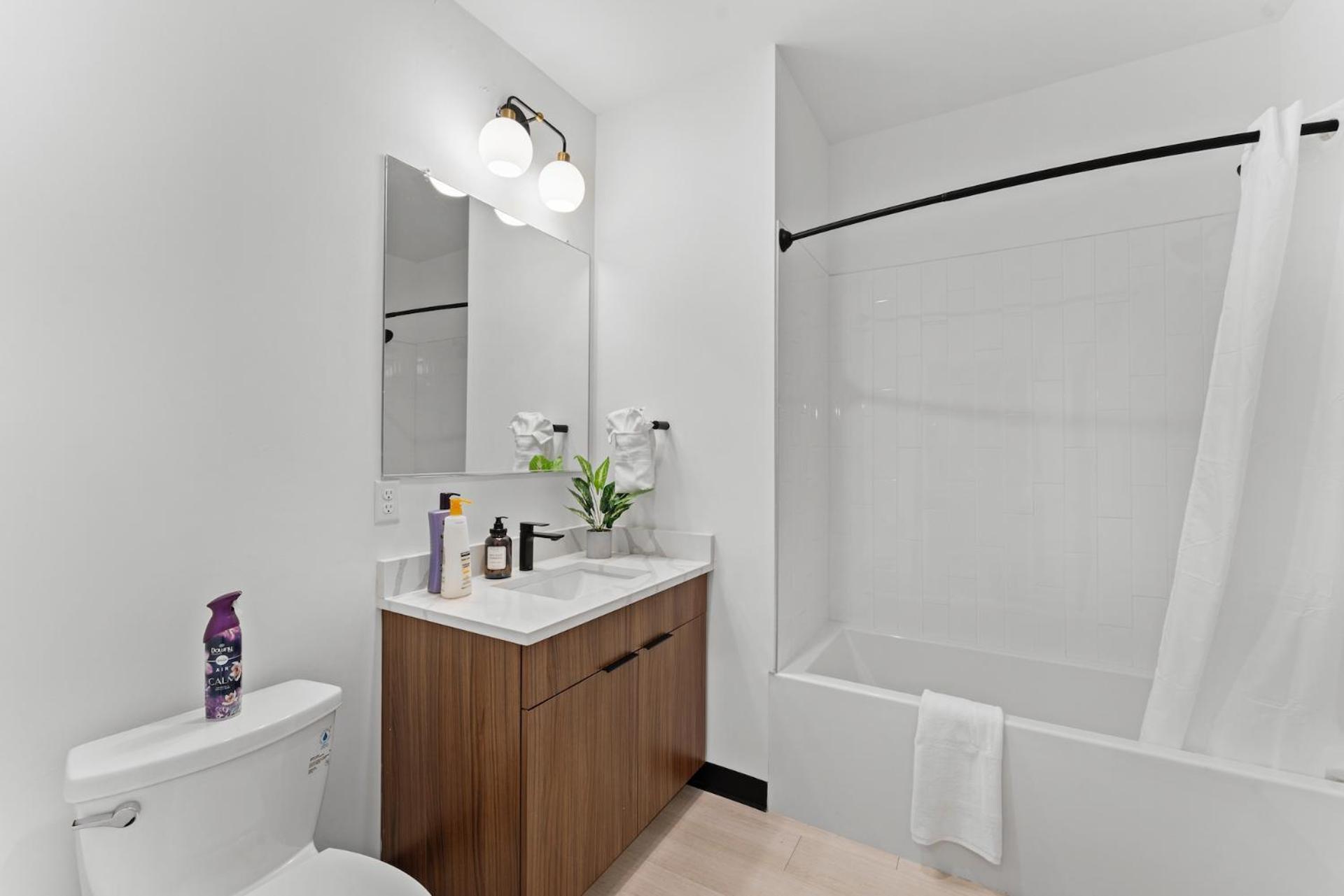 Furnished Luxury Close To Boston * Everett
